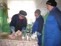 Учеба в ЗАО Зыковское