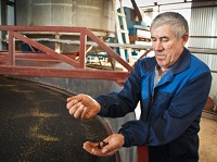 Гл агроном ООО Андреевское Н.Н.Галимзянов на подработке семян рапса Гл агроном ООО Андреевское Н.Н.Галимзянов на подработке семян рапса