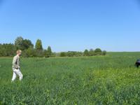 Кормовое поле фермера