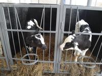 Первое знакомство