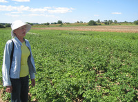 Н.Ф.Синцова Н.Ф.Синцова