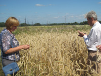 О.Л.Онучина и Н.П.Киселев О.Л.Онучина и Н.П.Киселев