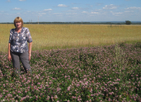 О.Л.Онучина О.Л.Онучина