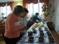 экспозиция