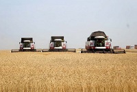 Уборочная страда в Рязанской области