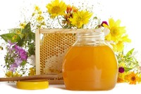 Конкурс пчеловодов