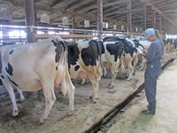 Кириллова Татьяна Сергеевна