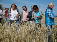 Консультирование на Слободском сортоучастке
