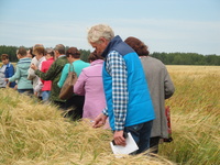 Консультирование на Слободском сортоучастке