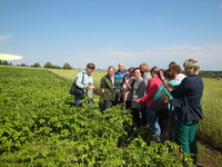 Консультирование на Слободском сортоучастке