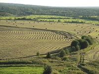 Гординские поля