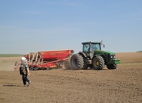 Посевная в Новом