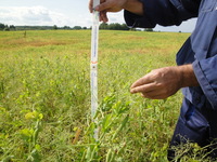 Промежуточные итоги опытов