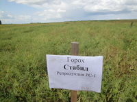 НА ДНЕ ПОЛЯ - 2018