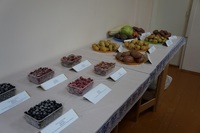 сортиспытание