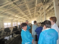 На консультации