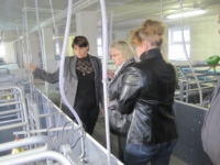 В ПСК Восход