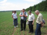 На приемке посевов