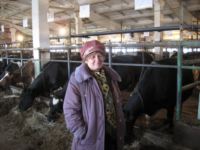 На ферме ООО Рассвет